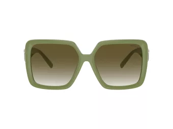 Tiffany Zonnebril TF 4206U 83687Z