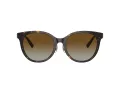 Tiffany Zonnebril TF 4209D 8015T5