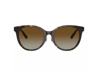 Tiffany Zonnebril TF 4209D 8015T5