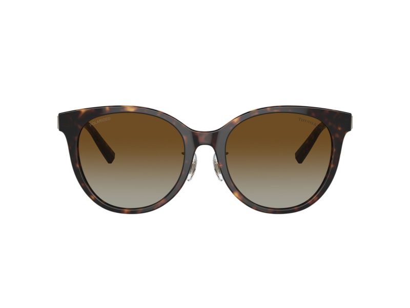 Tiffany Zonnebril TF 4209D 8015T5