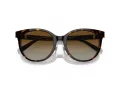 Tiffany Zonnebril TF 4209D 8015T5