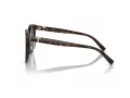 Tiffany Zonnebril TF 4209D 8015T5