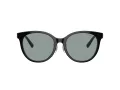 Tiffany Zonnebril TF 4209D 8055/1