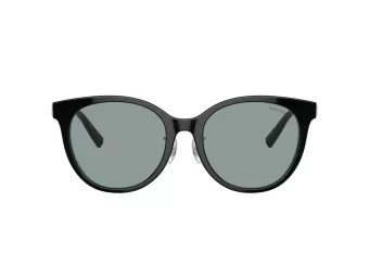 Tiffany Zonnebril TF 4209D 8055/1