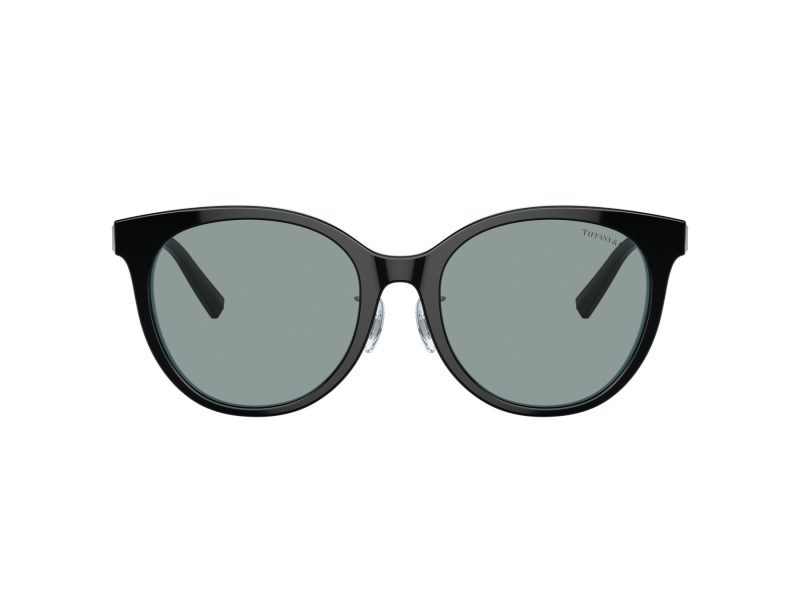 Tiffany Zonnebril TF 4209D 8055/1