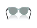 Tiffany Zonnebril TF 4209D 8055/1
