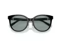 Tiffany Zonnebril TF 4209D 8055/1