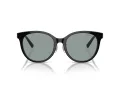 Tiffany Zonnebril TF 4209D 8055/1