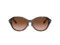Tiffany Zonnebril TF 4210D 80153B