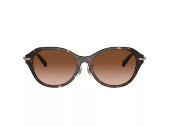 Tiffany Zonnebril TF 4210D 80153B
