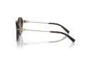Tiffany Zonnebril TF 4210D 80153B