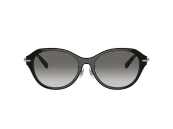 Tiffany Zonnebril TF 4210D 82853C