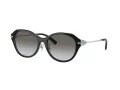 Tiffany Zonnebril TF 4210D 82853C