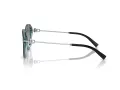 Tiffany Zonnebril TF 4210D 82853C