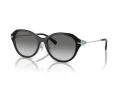 Tiffany Zonnebril TF 4210D 82853C