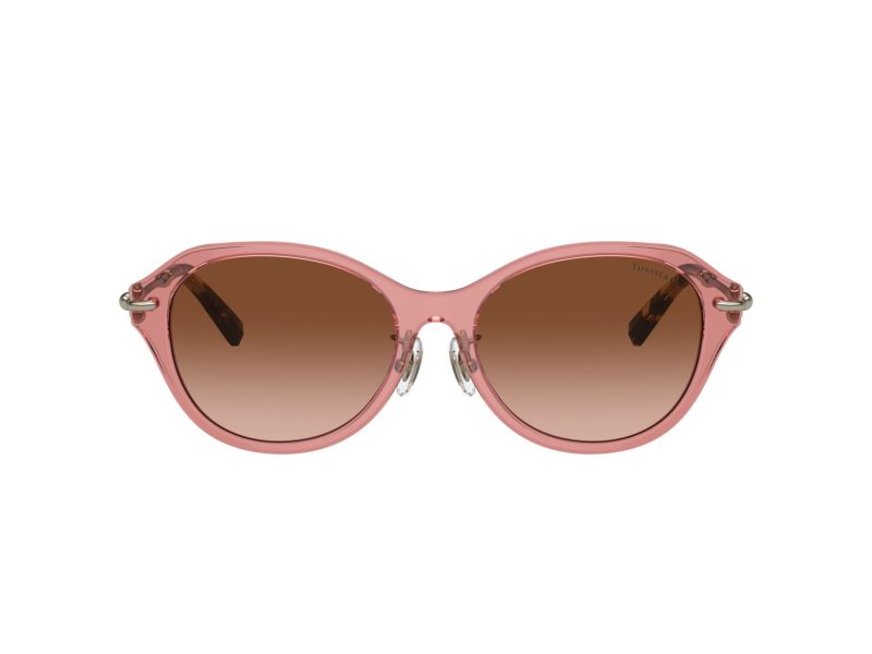 Tiffany Zonnebril TF 4210D 83863B