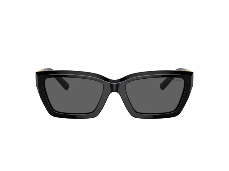 Tiffany Zonnebril TF 4213 8001S4