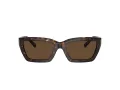 Tiffany Zonnebril TF 4213 80153G