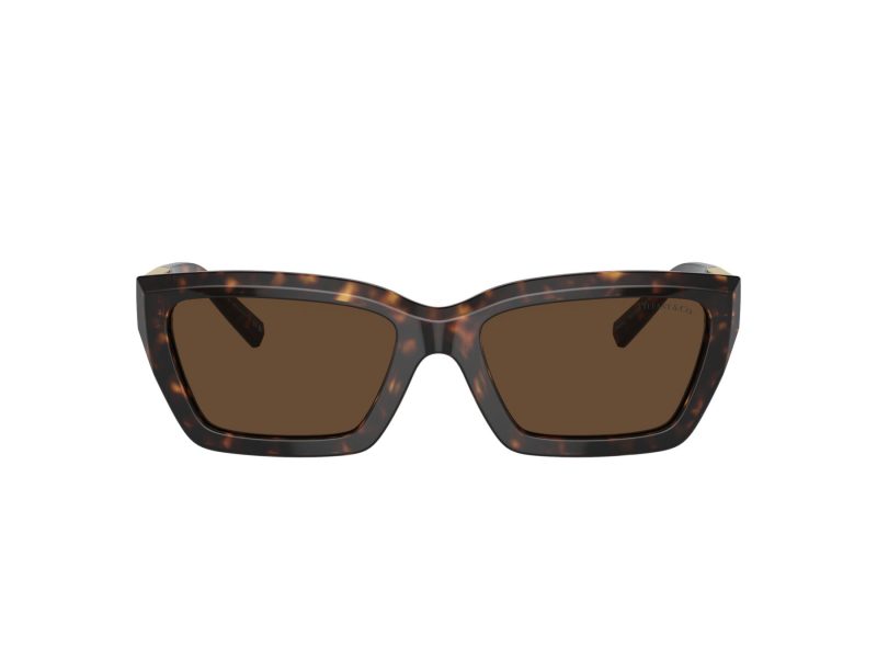 Tiffany Zonnebril TF 4213 80153G