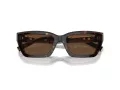 Tiffany Zonnebril TF 4213 80153G