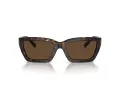 Tiffany Zonnebril TF 4213 80153G