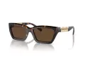 Tiffany Zonnebril TF 4213 80153G