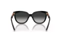 Tiffany Zonnebril TF 4215 80013C