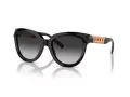 Tiffany Zonnebril TF 4215 80013C