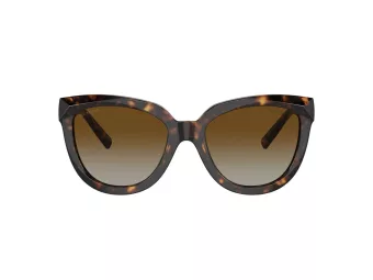 Tiffany Zonnebril TF 4215 8015T5