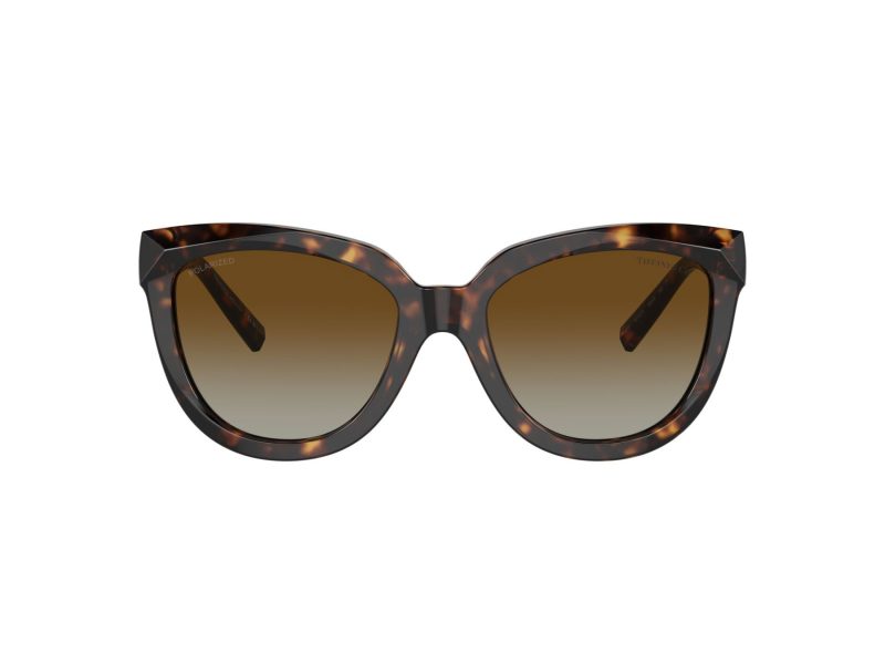 Tiffany Zonnebril TF 4215 8015T5