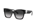 Tiffany Zonnebril TF 4216 80013C