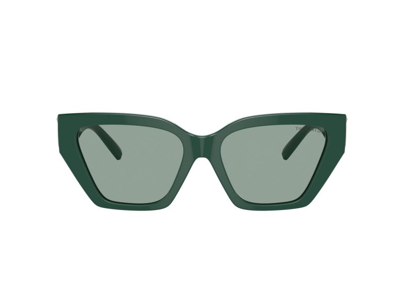 Tiffany Zonnebril TF 4218 840882