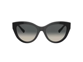 Tiffany Zonnebril TF 4220 800171