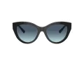 Tiffany Zonnebril TF 4220 80019S