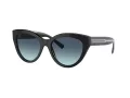 Tiffany Zonnebril TF 4220 80019S