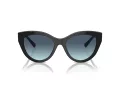 Tiffany Zonnebril TF 4220 80019S