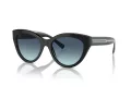 Tiffany Zonnebril TF 4220 80019S