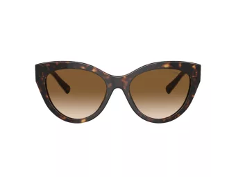 Tiffany Zonnebril TF 4220 801551