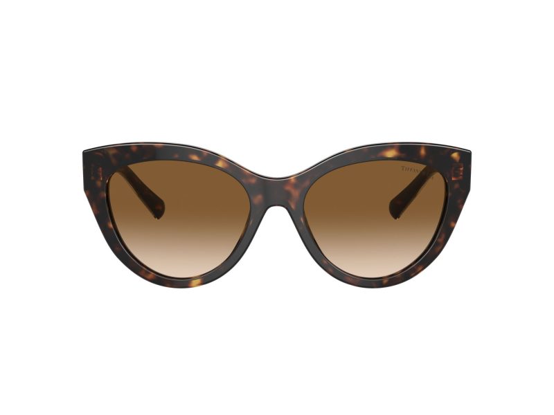 Tiffany Zonnebril TF 4220 801551