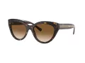 Tiffany Zonnebril TF 4220 801551