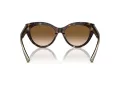 Tiffany Zonnebril TF 4220 801551