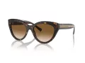 Tiffany Zonnebril TF 4220 801551