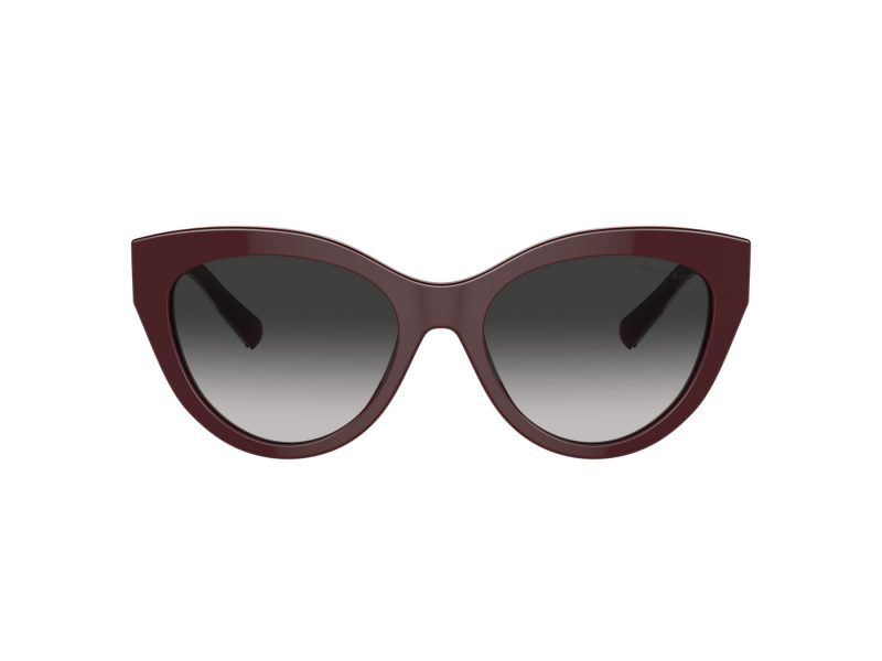 Tiffany Zonnebril TF 4220 83893C