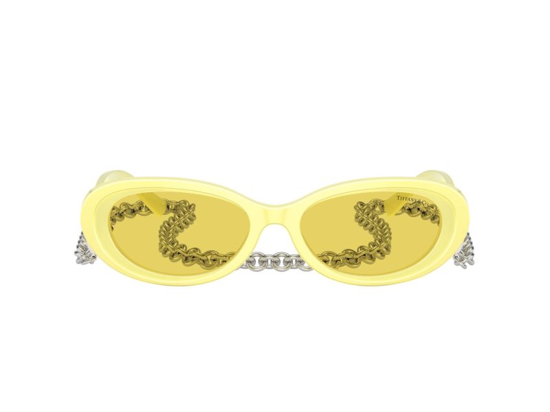 Tiffany Zonnebril TF 4221 841285