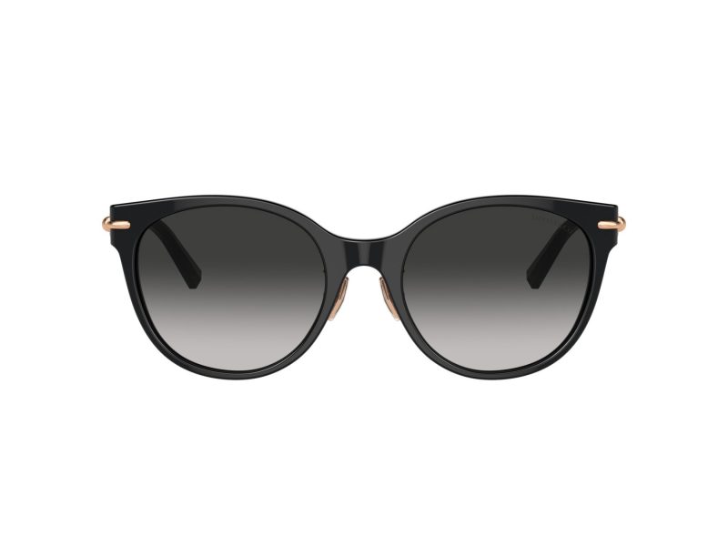 Tiffany Zonnebril TF 4223D 80013C