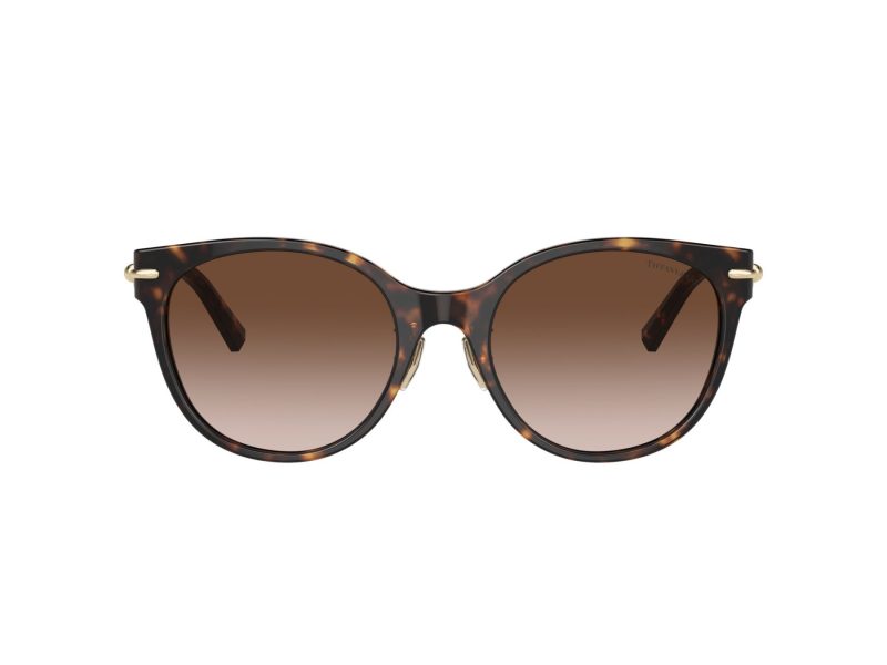Tiffany Zonnebril TF 4223D 80153B