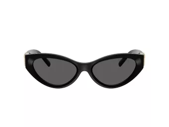 Tiffany Zonnebril TF 4225U 8001S4