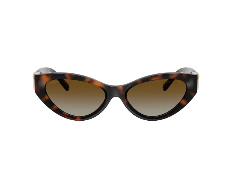 Tiffany Zonnebril TF 4225U 8015T5