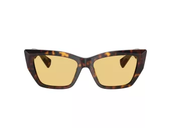 Tiffany Zonnebril TF 4230 8015/7