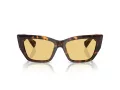 Tiffany Zonnebril TF 4230 8015/7